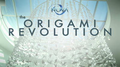 origami revolution